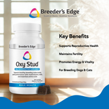 Breeder's Edge® Oxy Stud™