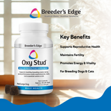 Breeder's Edge® Oxy Stud™