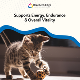 Breeder's Edge® Oxy Stud™