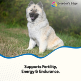 Breeder's Edge® Oxy Stud™