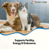Breeder's Edge® Oxy Stud™