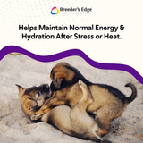 Breeder's Edge® Puppy Lyte™ or Kitten Lyte™