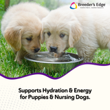 Breeder's Edge® Puppy Lyte™ or Kitten Lyte™