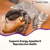 Breeder's Edge® Puppy Lyte™ or Kitten Lyte™