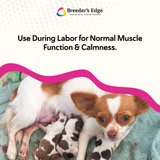 Breeder's Edge® Oral Cal Plus™ Gel