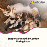 Breeder's Edge® Oral Cal Plus™ Gel