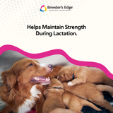 Breeder's Edge® Oral Cal Plus™ Powder