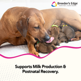 Breeder's Edge® Oral Cal Plus™ Powder