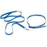Breeder's Edge® ID Me™ Take Me Home Collars and Leashes