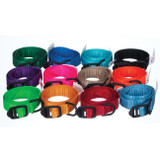 Breeder's Edge® ID Me™ Take Me Home Collars and Leashes