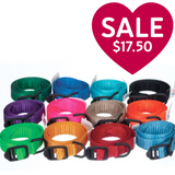 Breeder's Edge® ID Me™ Take Me Home Collars and Leashes