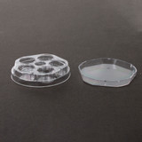 WTA 5 WELL DISHES