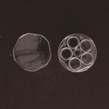 WTA 5 WELL DISHES