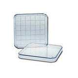 Gridded Search Dish with Lid