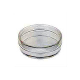 Petri Dish 10 x 35 mm