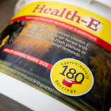 Health E™