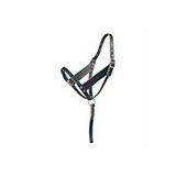 Foal Halter