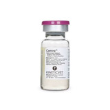 Centre Sterile S-GAG & Sodium Hyaluronate