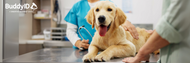 National Chip Your Pet Month: Keep Your Pet Safe with BuddyID® by Creative Science