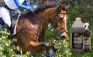 Relief, Recovery, and Results: Choosing the Right Sore No-More® Product for Your Horse