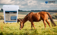 Supporting Equine Airway and Respiratory Health