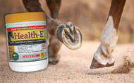 Vitamin E in Equine Health: Addressing Deficiencies with Targeted Solutions