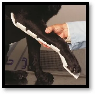 Creative Science Announces New Padded Pet Splints thumbnail image