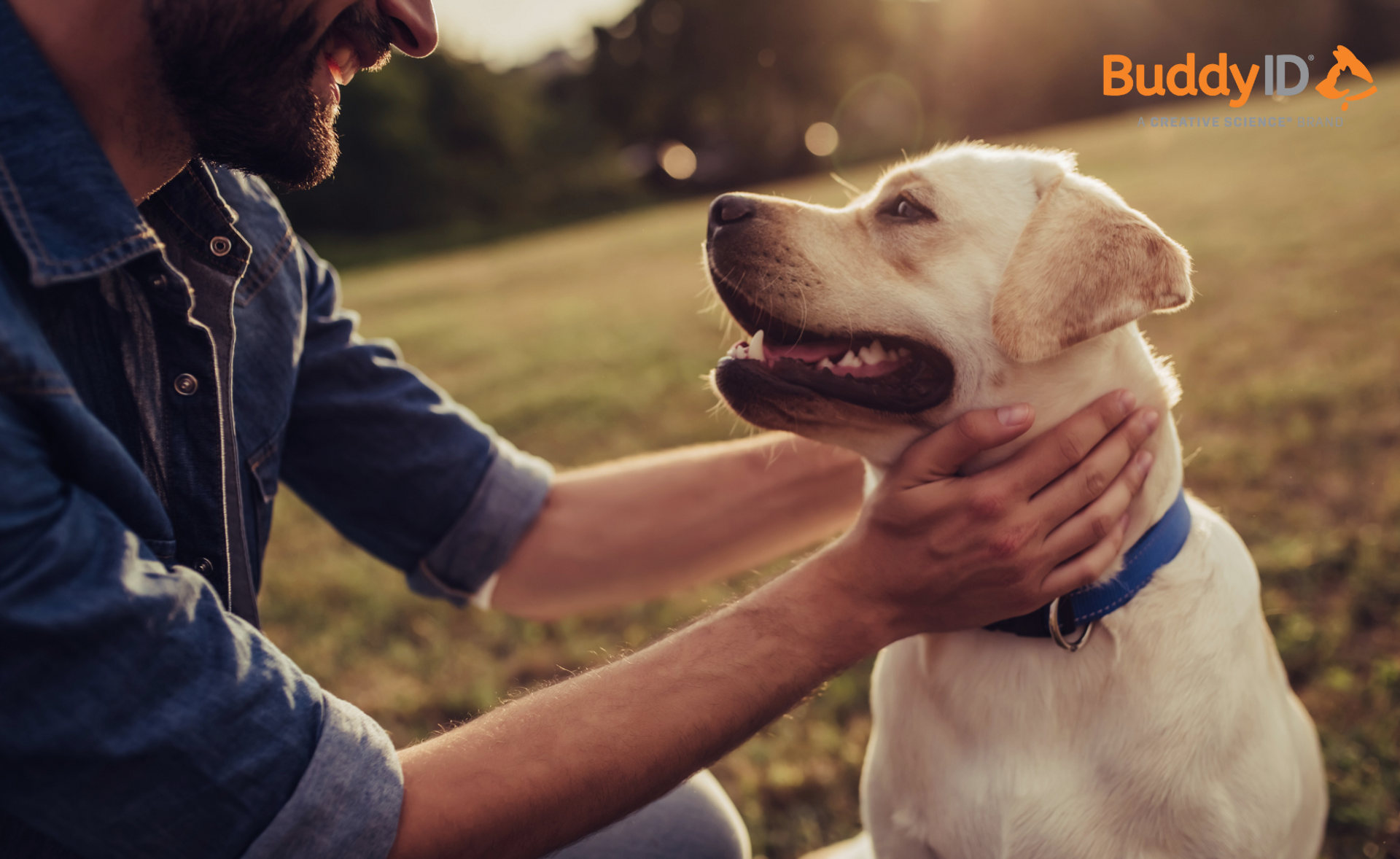 Booms, Blasts, & Backyard BBQs: Keep Pets Safe This Summer with BuddyID thumbnail image