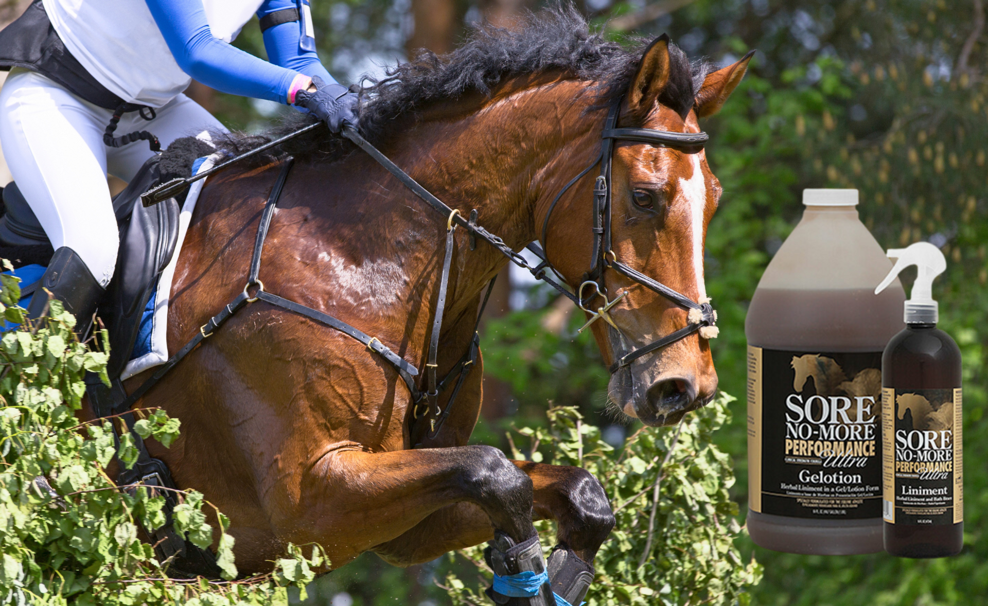 Relief, Recovery, and Results: Choosing the Right Sore No-More® Product for Your Horse thumbnail image