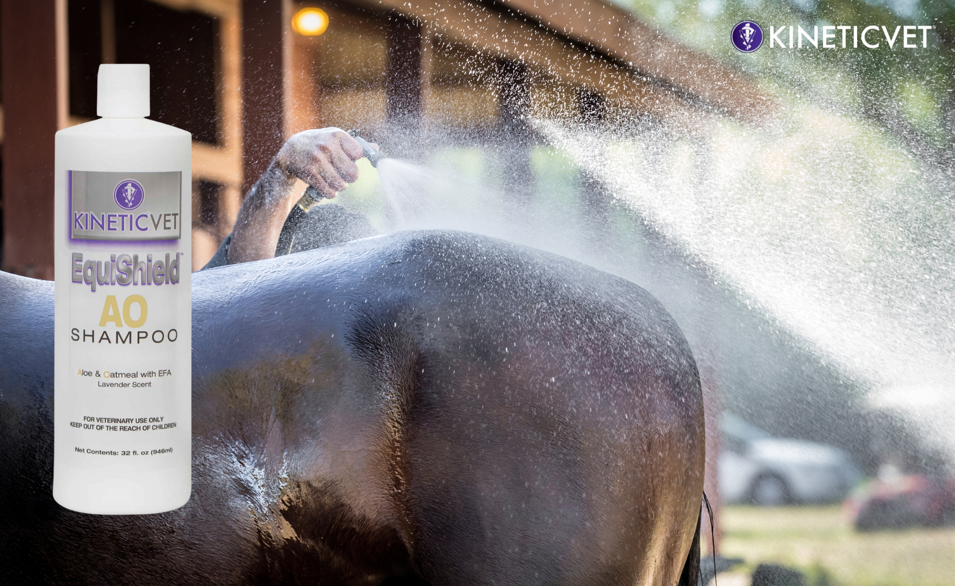 Causes and Solutions for Dry Skin in Dogs, Cats and Horses thumbnail image