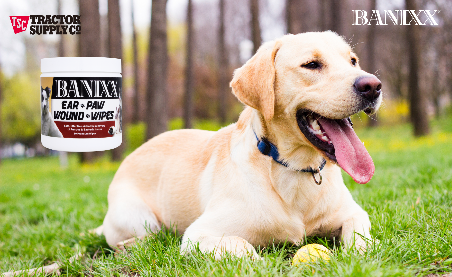 Banixx Pet Wipes Now at Tractor Supply Co: First Aid Made Simple thumbnail image