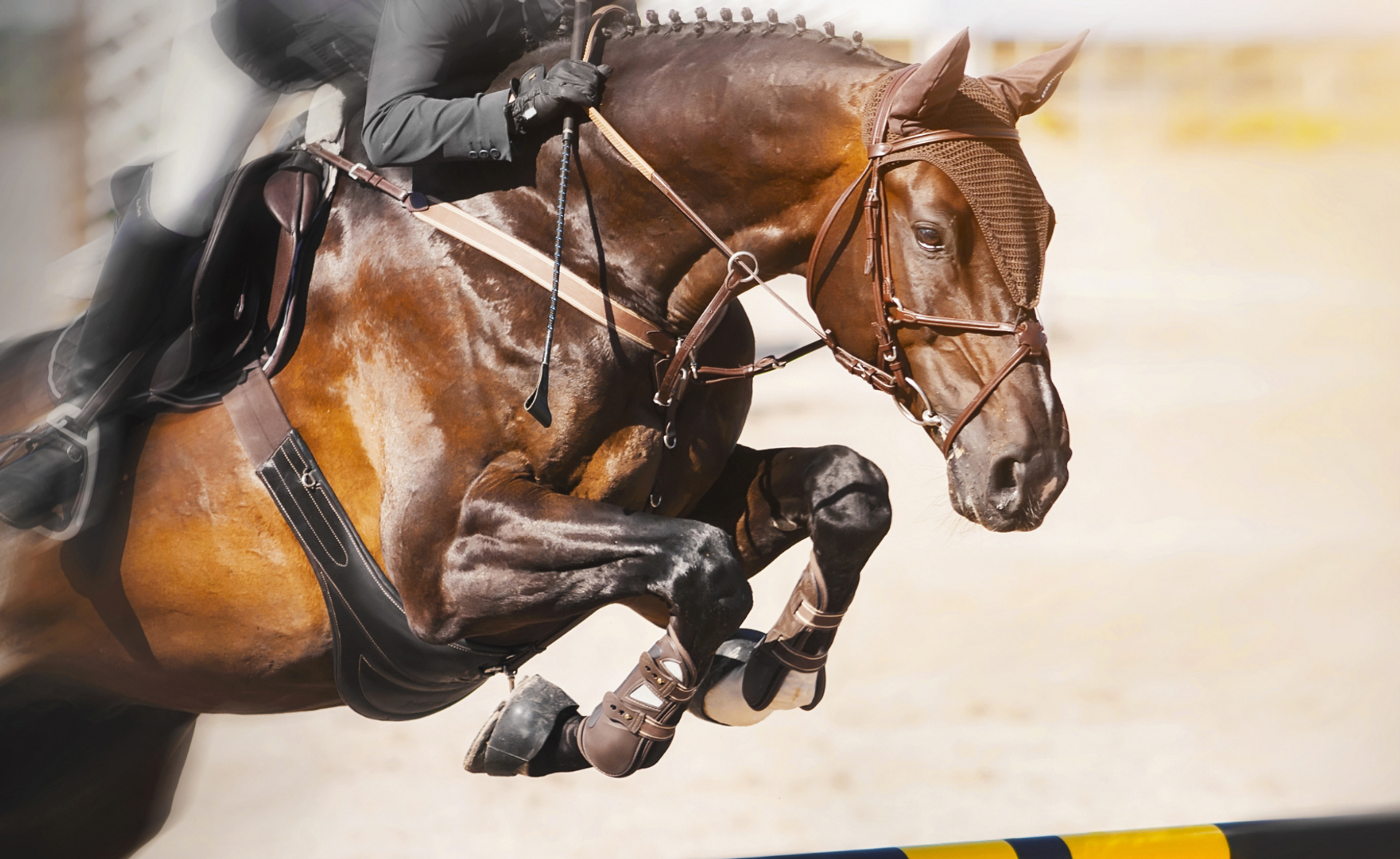 Year-Round Performance Support thumbnail image