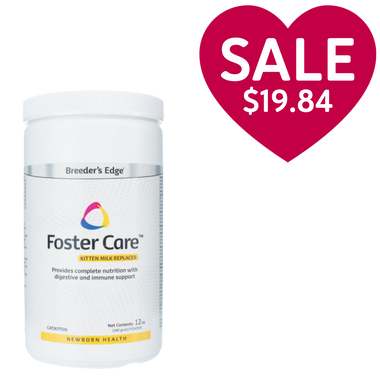 Breeder's Edge® Foster Care™ Feline Milk Replacer
