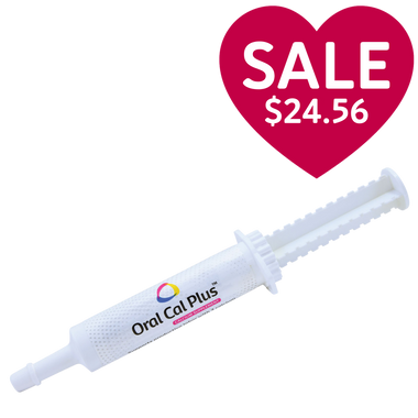 Breeder's Edge® Oral Cal Plus™ Gel