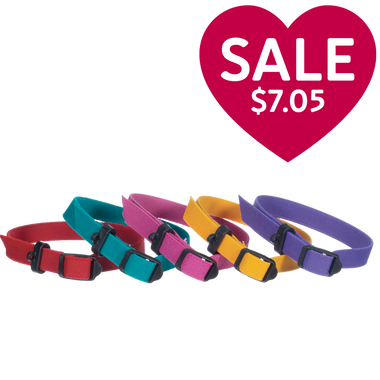 Breeder's Edge® ID Me™ Perfect Fit Collar