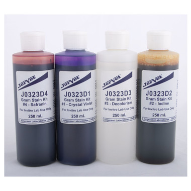 Gram Stain Kit