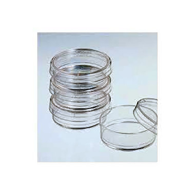 Petri Dish Falcon 60mmx15mm
