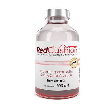 Botu Red Cushion