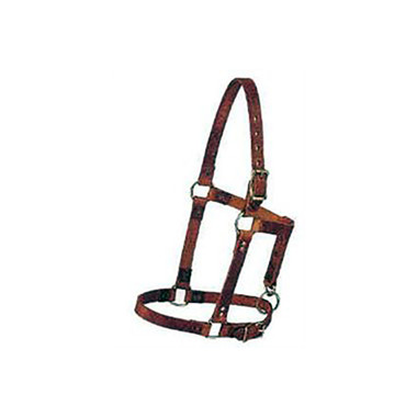Suckling Halter