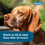 Seresto® Flea & Tick Collars for Cats & Dogs
