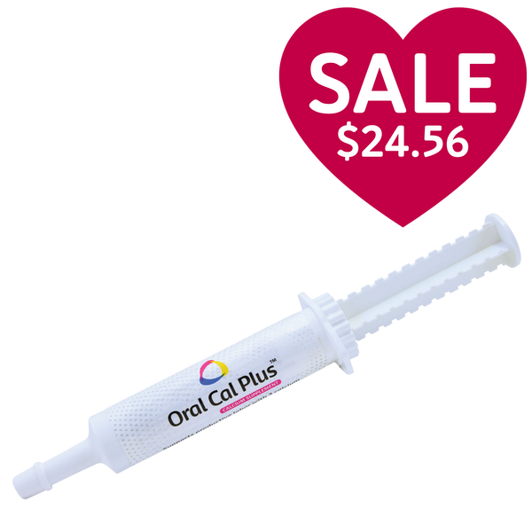 Breeder's Edge® Oral Cal Plus™ Gel