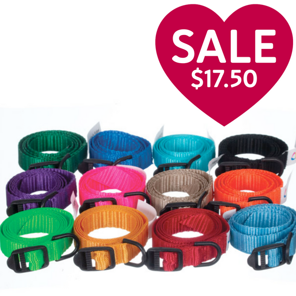 Breeder's Edge® ID Me™ Take Me Home Collars and Leashes