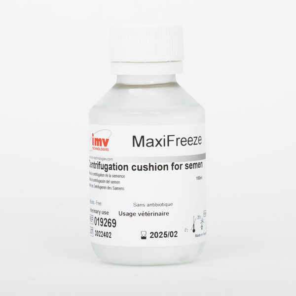 Maxi Freeze
