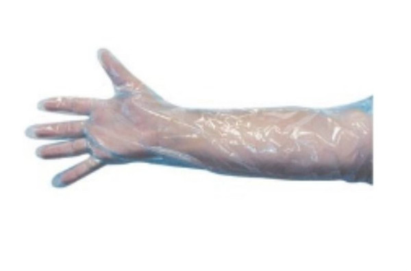 Large hand Palpation Sleeve Large hand Palpation Sleeve