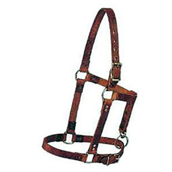 Weanling Halter