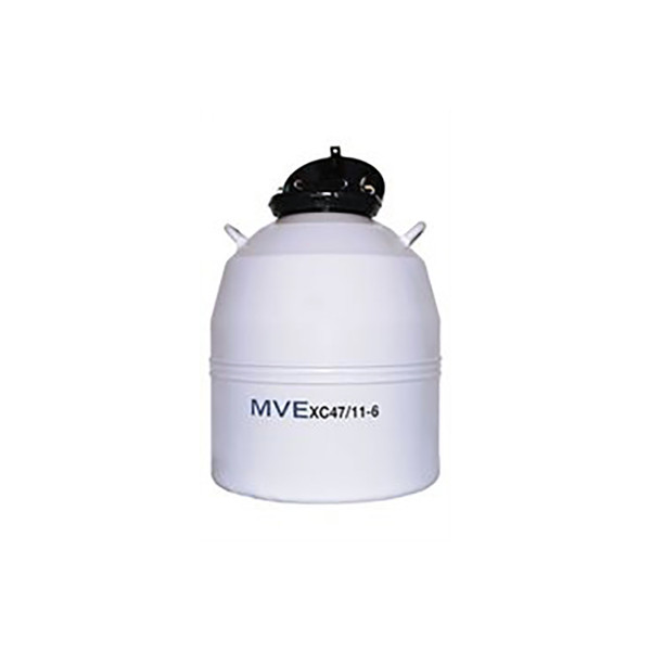 MVE XC 47/11-6