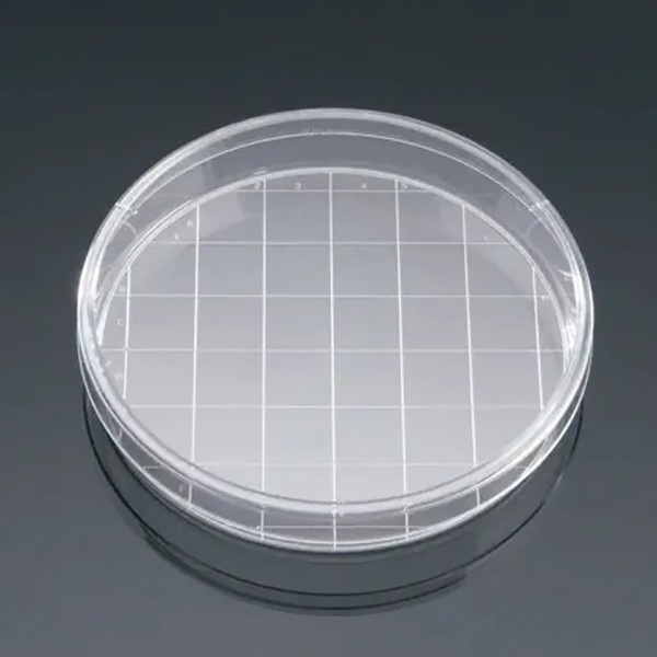 Round Gridded Search Dish with Lid
