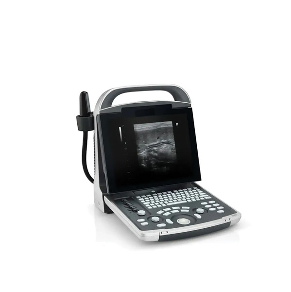 Equisound DP30 Portable Equine Ultrasound