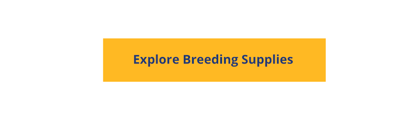 Explore Breeding Supplies