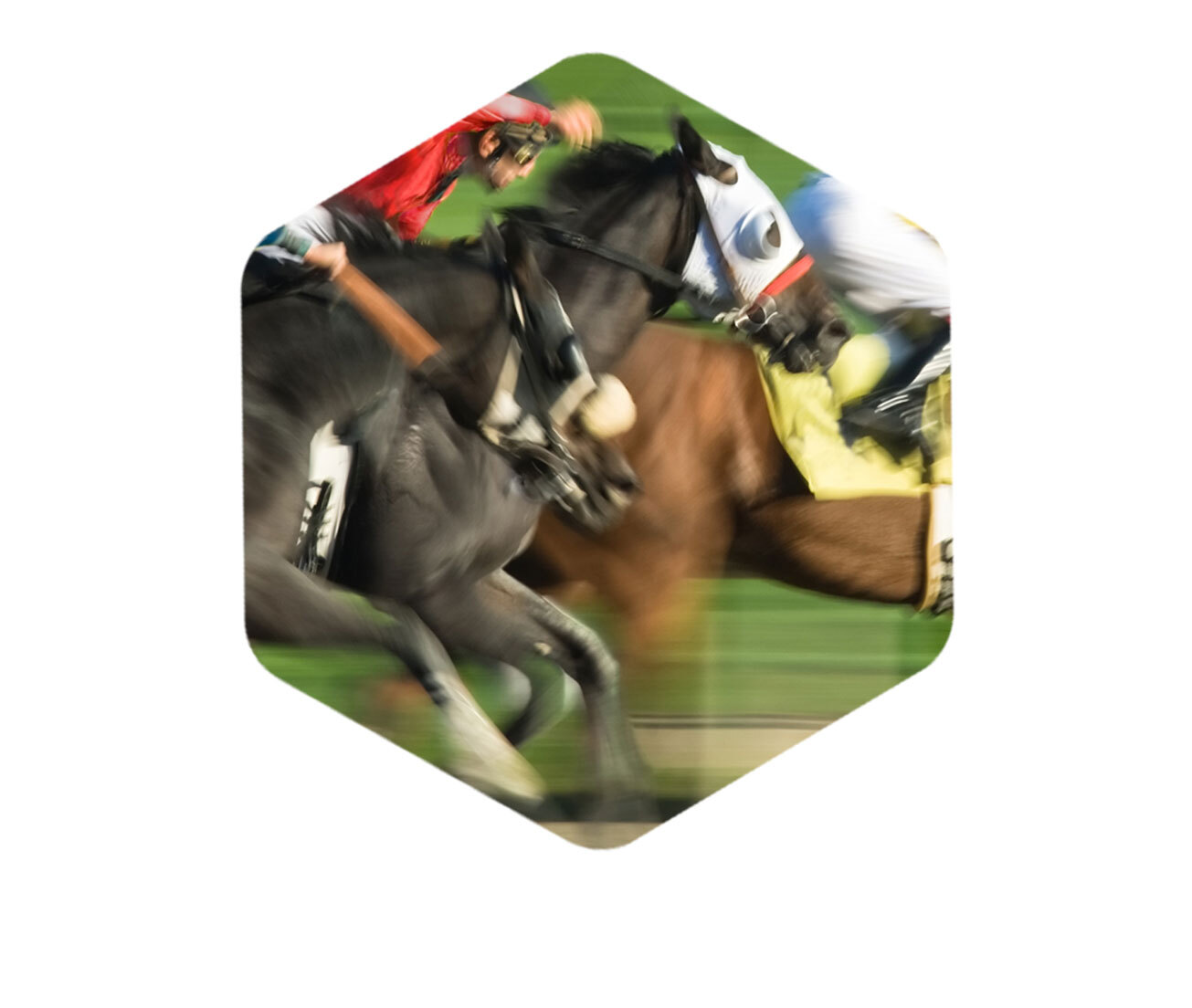 Horse racing